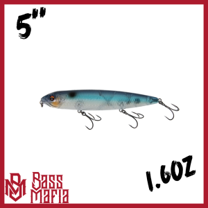 Dead man Walking – Blue Back Herring