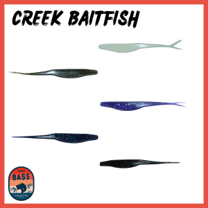 Creek Baitfish