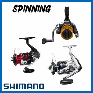 Spinning