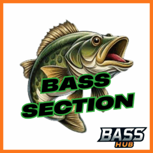 BASS FISHING