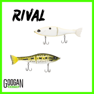 Rival
