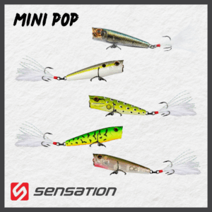 MINI POP