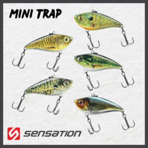 MINI TRAP