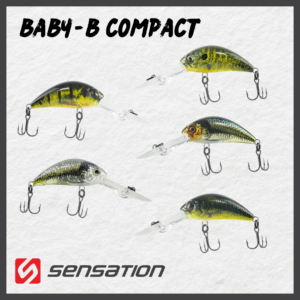 BABY-B SD5