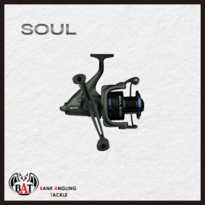 SOUL REEL