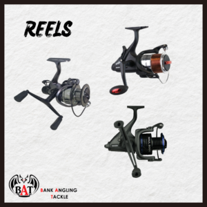 REELS